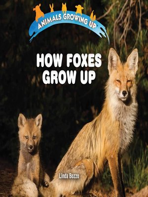 cover image of How Foxes Grow Up
